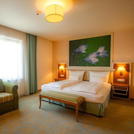 Hotel Sonnenhof Сучава Екстер'єр фото