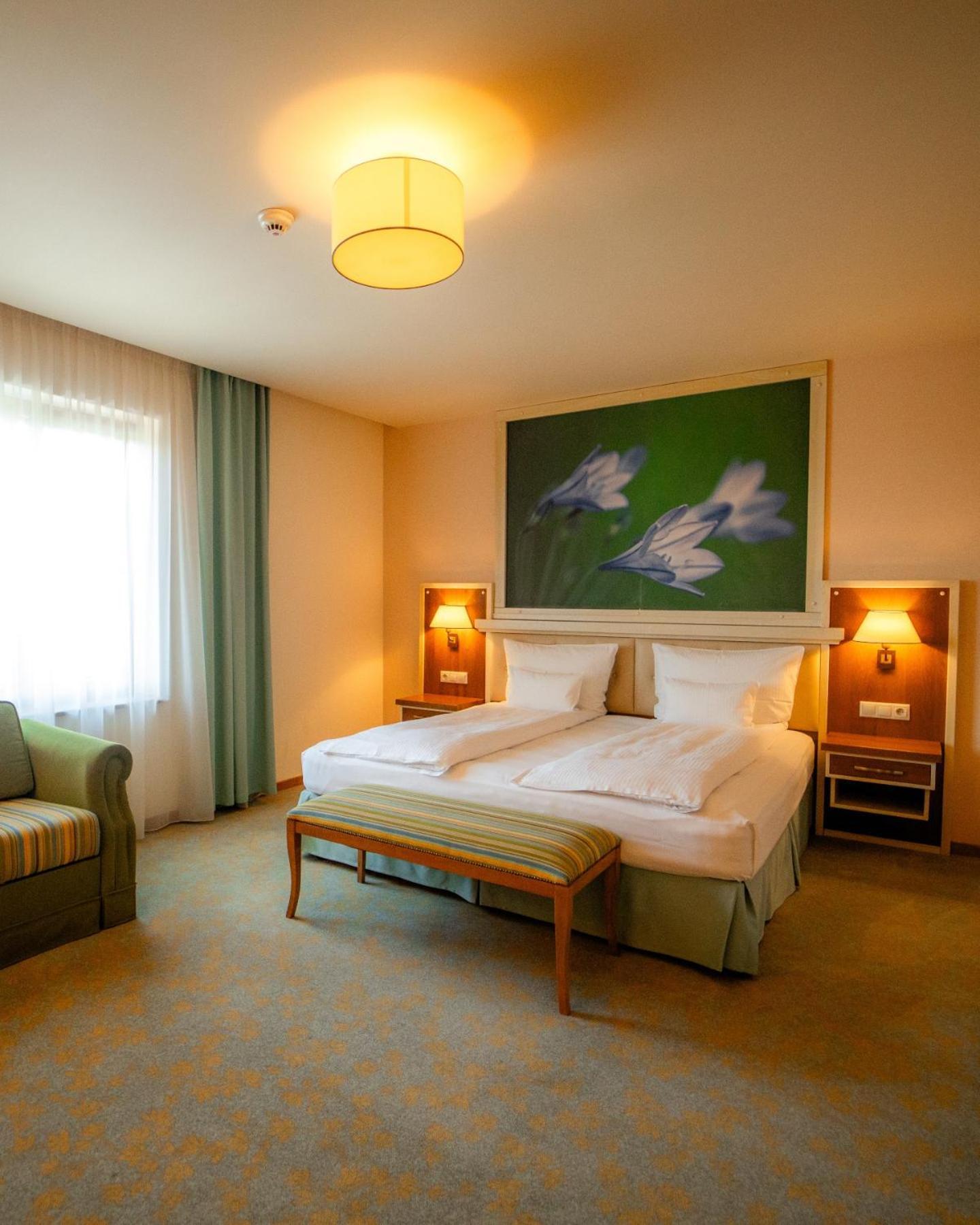Hotel Sonnenhof Сучава Екстер'єр фото
